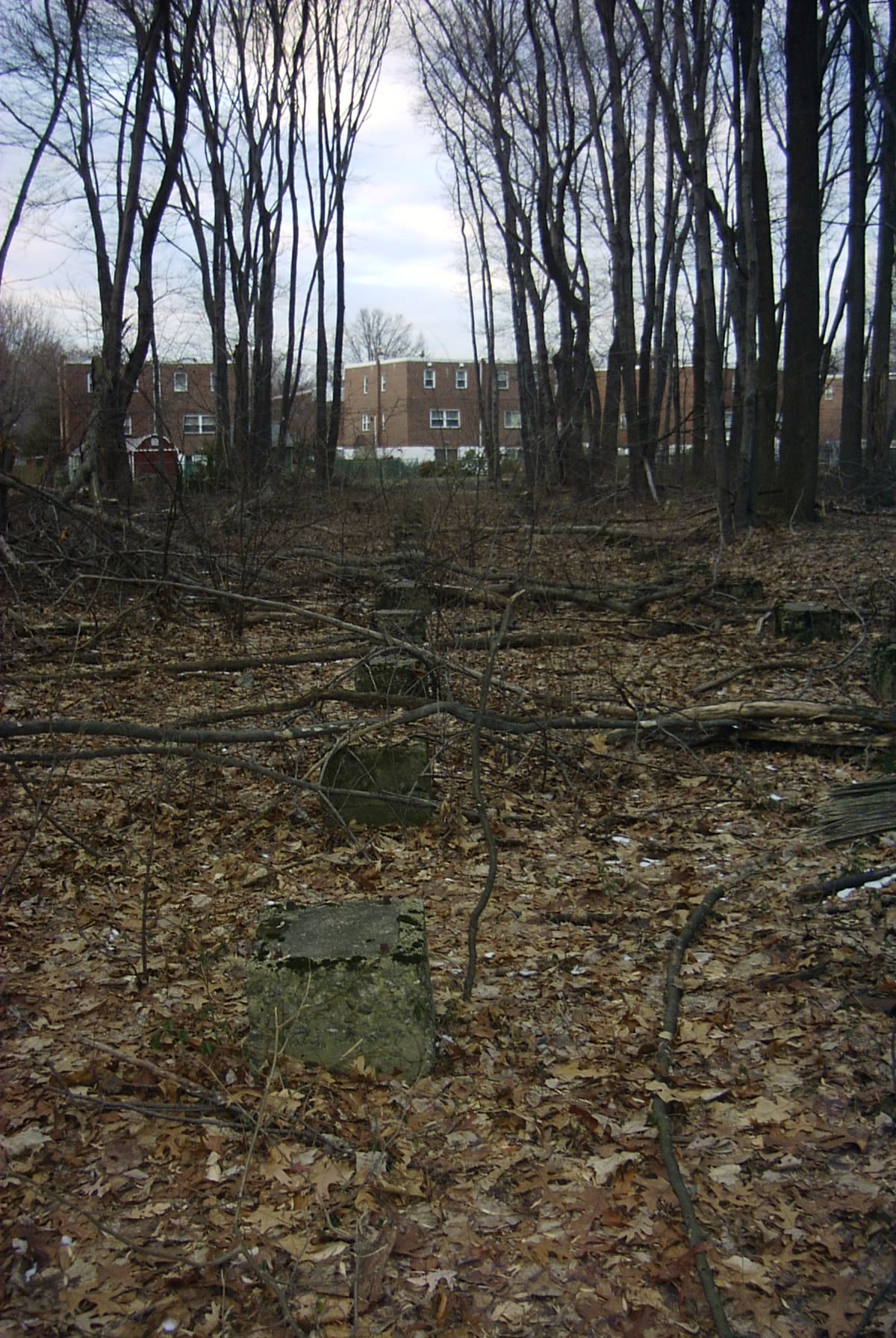 1grandstandsandhouses.jpg